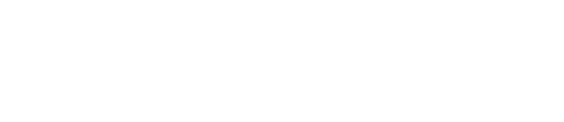 Logo Hansekraft in weiß